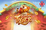 Baixar aplicativo Ton Of Money Tiger