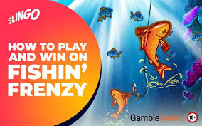 Experience the Thrill of Fishin' Frenzy Free 336201424